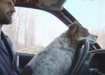 Sunday Filmproduktions GmbH