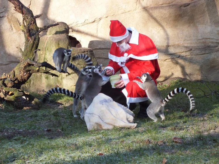 Tierpark Cottbus