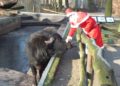 Tierpark_2