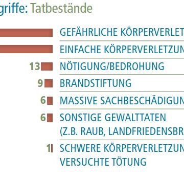 Tatbestände rechter Angriffe in Brandenburg 2016; Quelle: Opferperspektive e.V.
