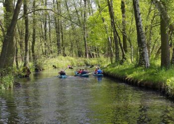 Foto: spreewald-info.de