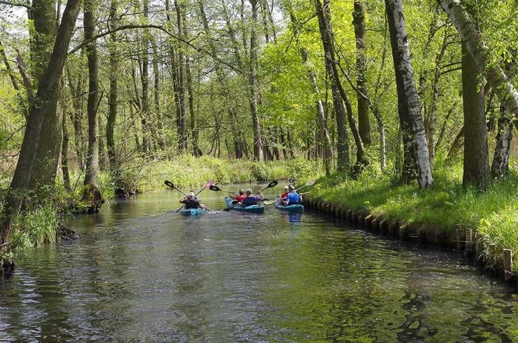 Foto: spreewald-info.de