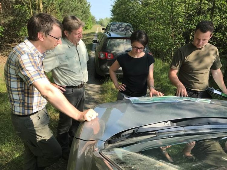 Michael Rösler von der LEAG; Hans-Jürgen Volkland, Referent Bergbau beim Landesbetrieb Forst Brandenburg; Franziska Uhlig-May, Leiterin Rekultivierung und Naturschutz bei der LEAG, und Revierförster Henryk Siwik (v.l.n.r.) inspizierten am Montag den jungen Reku-Wald im Tagebau Welzow-Süd.