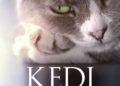 Plakat_Kedi Von Katzen und Menschen