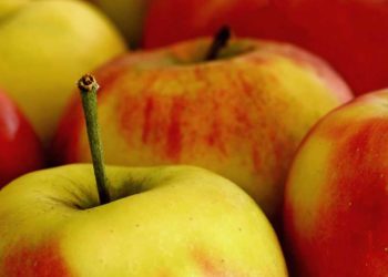 Birgit H. www.pixelio.de