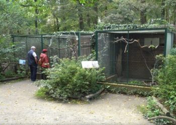 Sittichvolieren im Cottbuser Tierpark