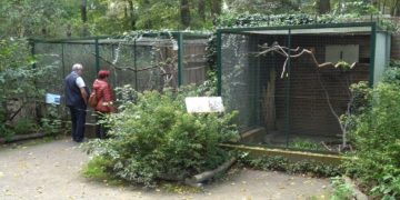 Sittichvolieren im Cottbuser Tierpark