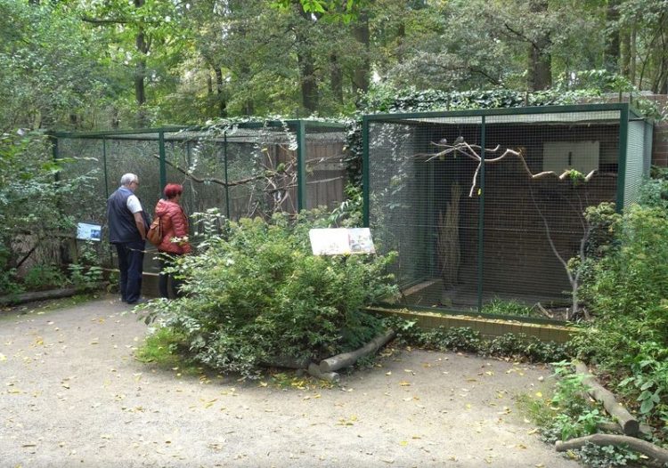 Sittichvolieren im Cottbuser Tierpark