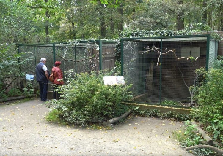 Sittichvolieren im Cottbuser Tierpark