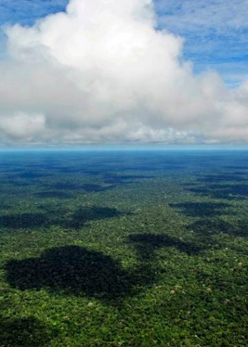 Brasilien kennenlernen-Amazon_CIAT_5