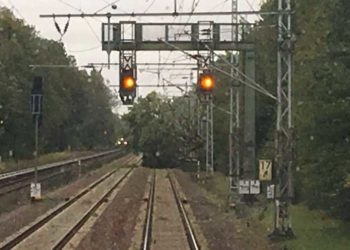 Umgestürzter Baum auf Gleis