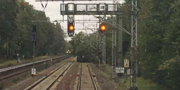 Umgestürzter Baum auf Gleis