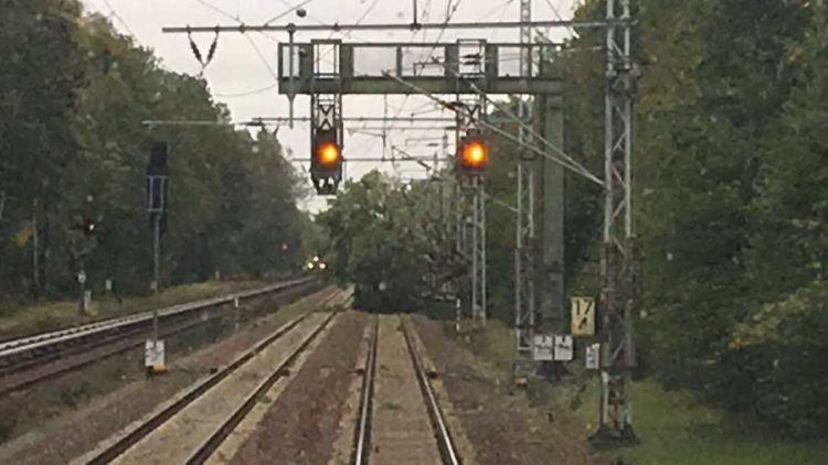 Umgestürzter Baum auf Gleis