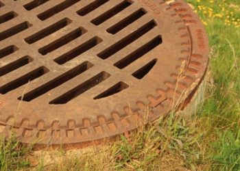 Gisela Peter_ pixelio