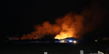 Blaulicht Report Elbe-Elster
