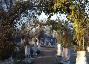 Rosenseminar im Herbst im Ostdeutschen Rosengarten