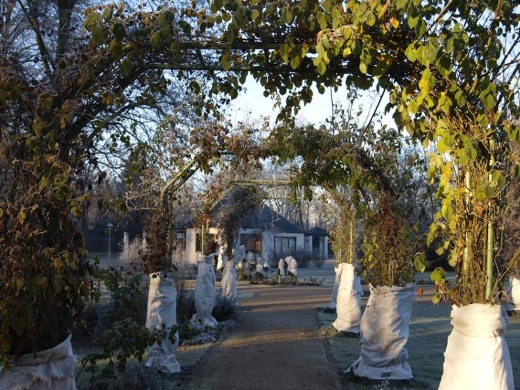 Rosenseminar im Herbst im Ostdeutschen Rosengarten