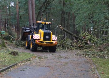 Wildpark Johannismühle