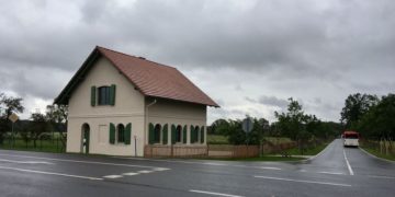 Umgestürzte Bäume in der Kastanienallee