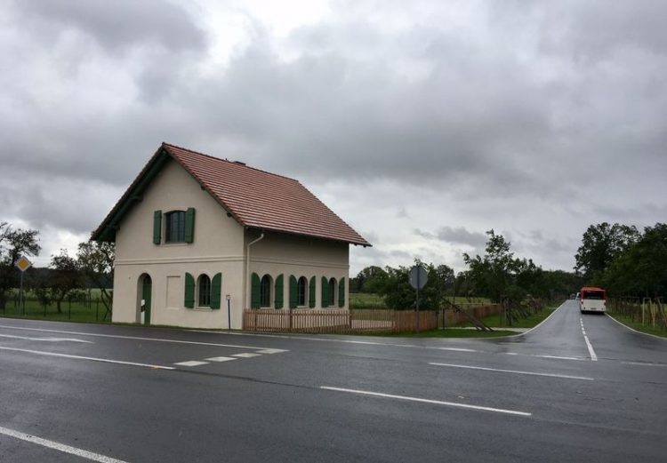 Umgestürzte Bäume in der Kastanienallee