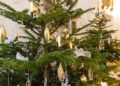 Baum des Jahres 2017_Weihnachten im Schloss Foto- Museum OSL_