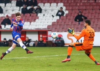 Steve Seiffert - CBpx