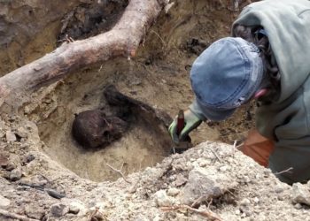 KMBD Ausgrabung toter Soldaten