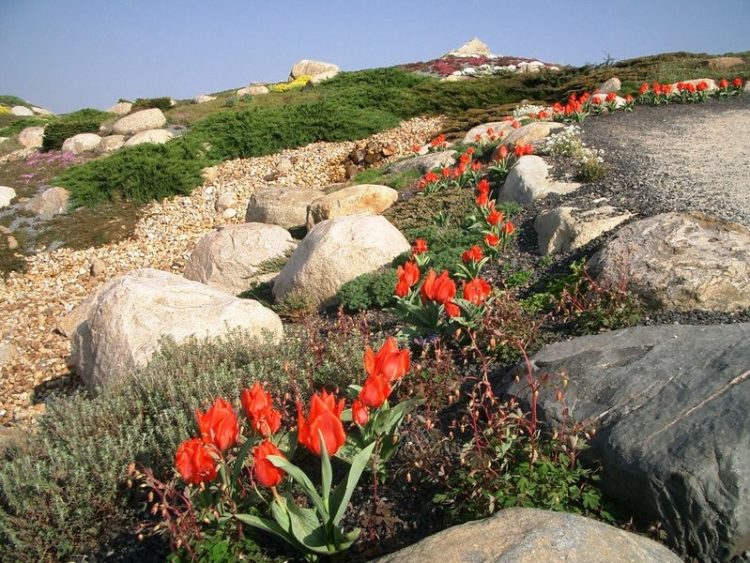 Findlingspark Nochten 2018: Mit Wüstenschätzen und Schoko-Findlingen in die Jubiläumssaison