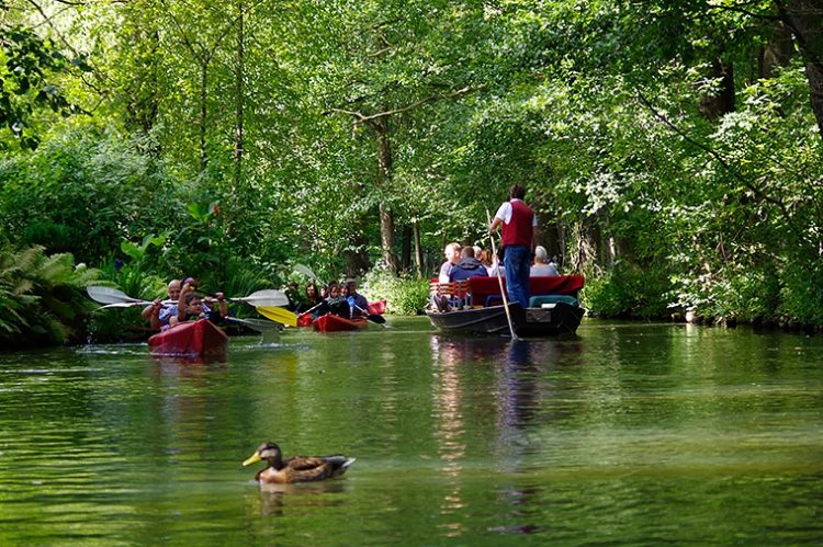 Foto: spreewald-info.de