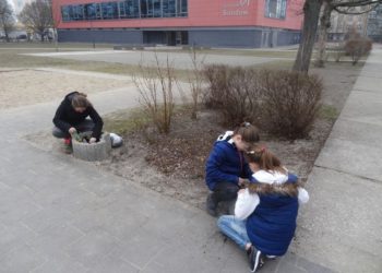 Frühjahrsputz Cottbus 2016