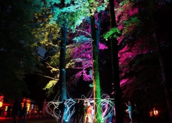 Nachts im Tierpark Cottbus 2017