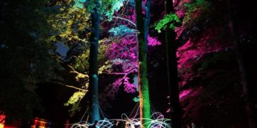 Nachts im Tierpark Cottbus 2017