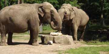 Tierpark Cottbus