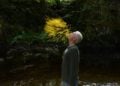 Leaning into the wind4CPiffl Medien