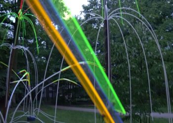 Nachts im Tierpark Cottbus 2018