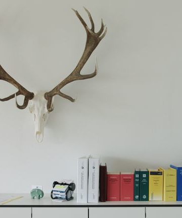 11Auf der Jagd-Wem gehrt die NaturBROADVIEW Pictures