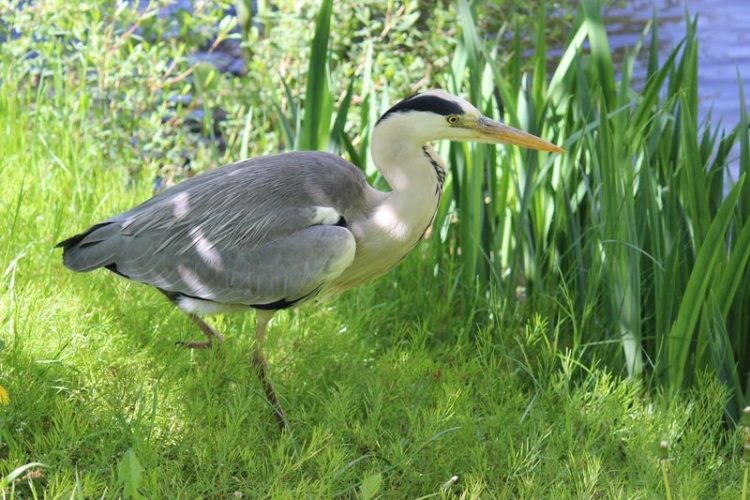 Zoo Hoyerswerda