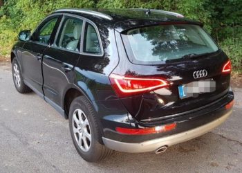 Bundespolizei fasst alkoholisierten Autodieb auf der Flucht bei Forst