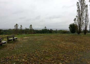 Cottbuser Ostsee Sportverein