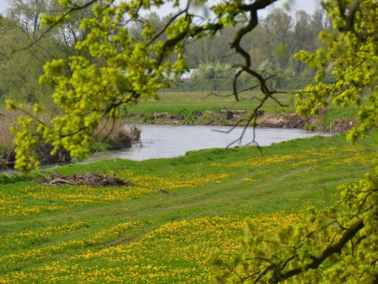 Sommerwanderung. Die Neiße - eine Lebensader