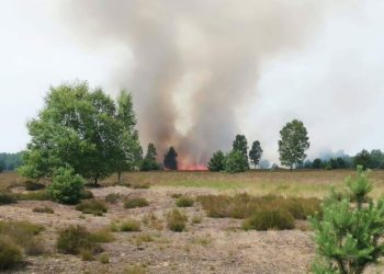 Blaulichtreporter Cottbus und Umgebung