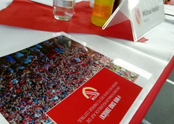 Energie Cottbus erzielt 1,1 Mio. Euro Überschuss
