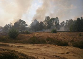 Waldbrand Lieberoser Heide am vergangenen Donnerstag