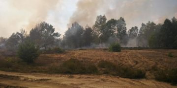 Waldbrand Lieberoser Heide am vergangenen Donnerstag