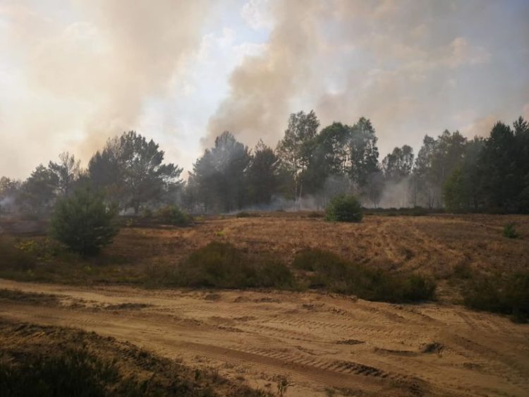 Waldbrand Lieberoser Heide am vergangenen Donnerstag