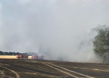Wald- und Flächenbrand Cottbus Sielow