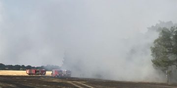 Wald- und Flächenbrand Cottbus Sielow