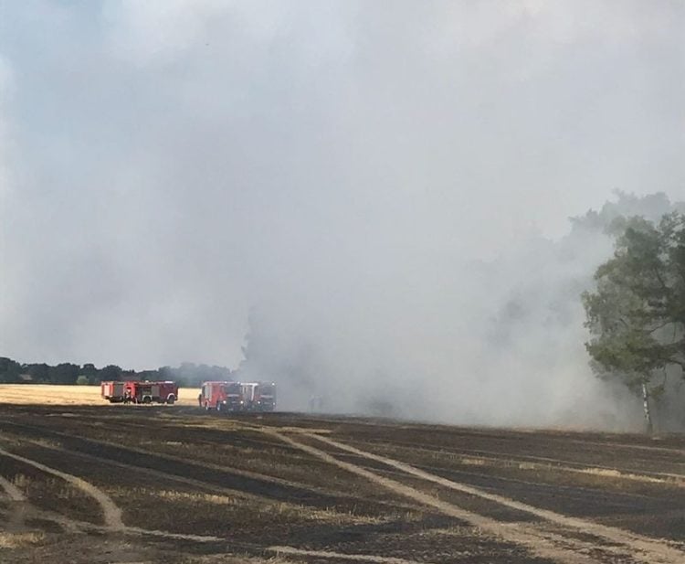 Wald- und Flächenbrand Cottbus Sielow