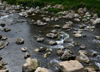 Ruth Rudolph, www.pixelio.de