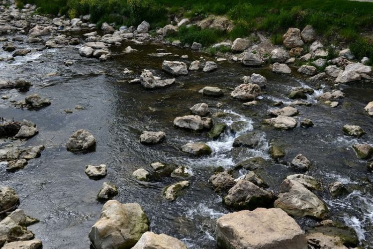 Ruth Rudolph, www.pixelio.de